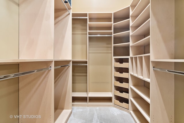 spacious closet featuring carpet flooring