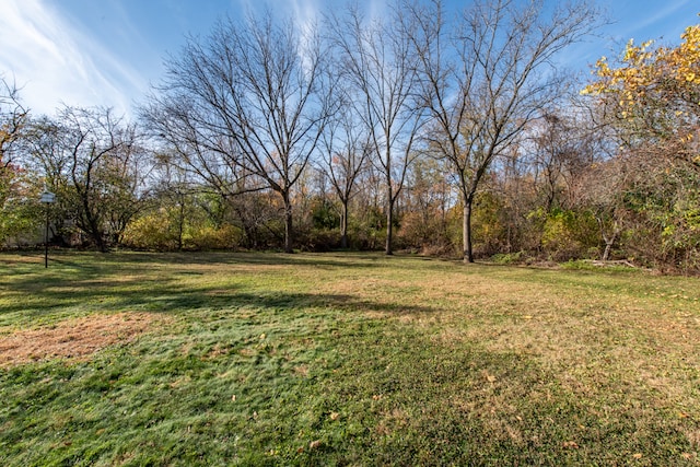 0 Ellis Ave, Gurnee IL, 60031 land for sale