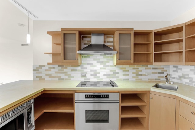 kitchen featuring stainless steel appliances, tasteful backsplash, wall chimney exhaust hood, and sink