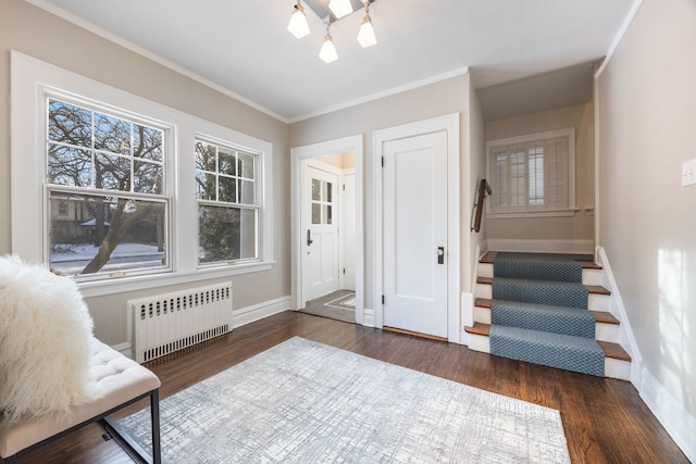 foyer featuring a notable chandelier, crown molding, radiator heating unit, and dark hardwood / wood-style floors