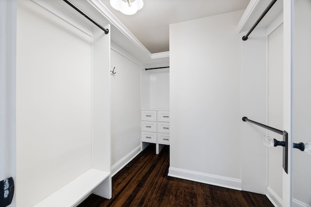 spacious closet with dark hardwood / wood-style floors