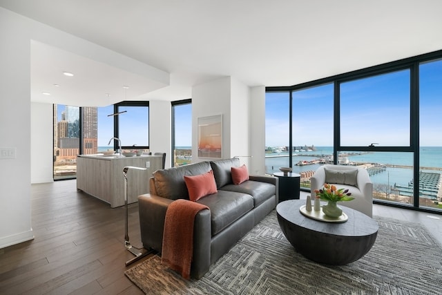 living room featuring a wall of windows, a water view, and dark wood-type flooring