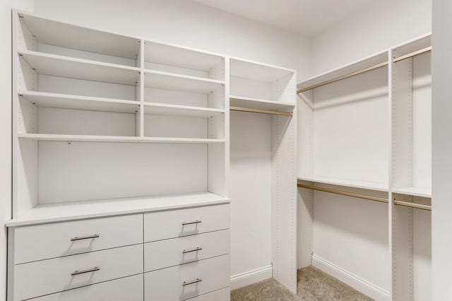 spacious closet featuring light carpet