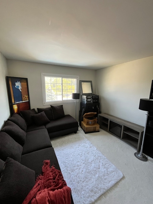 living room featuring carpet flooring