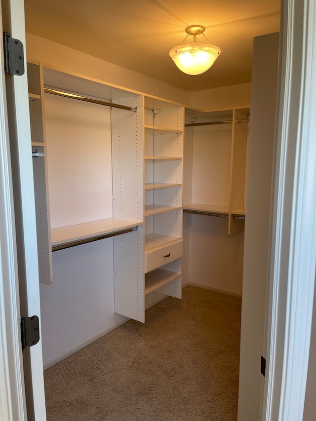 spacious closet with carpet