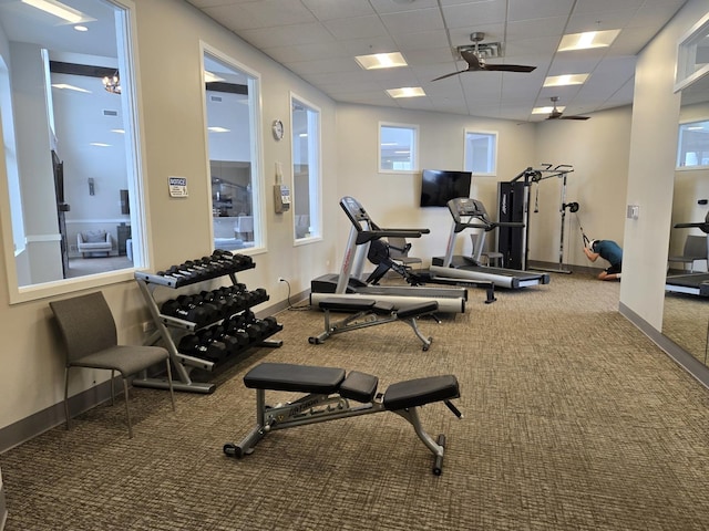 workout area featuring a drop ceiling, ceiling fan, and carpet flooring