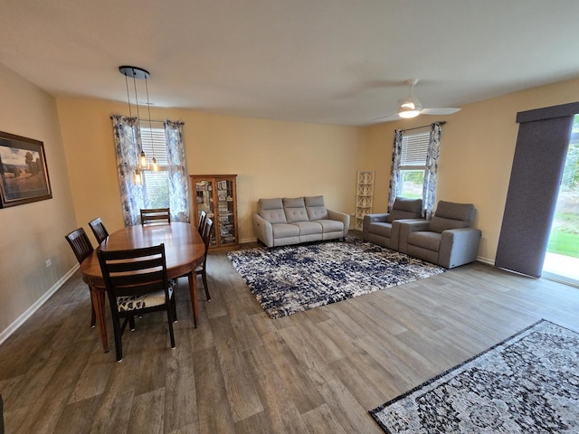 dining space with hardwood / wood-style flooring and ceiling fan with notable chandelier