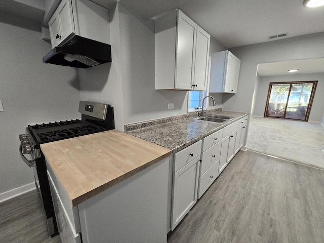 1007 River Rd, Mchenry, IL 60050 - kitchen with a sink, wood finished floors, gas range, under cabinet range hood, and visible vents