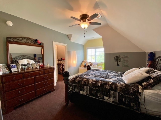 bedroom featuring dark colored carpet, vaulted ceiling, ceiling fan, a closet, and a walk in closet