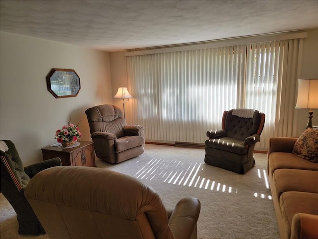 carpeted living room with a textured ceiling