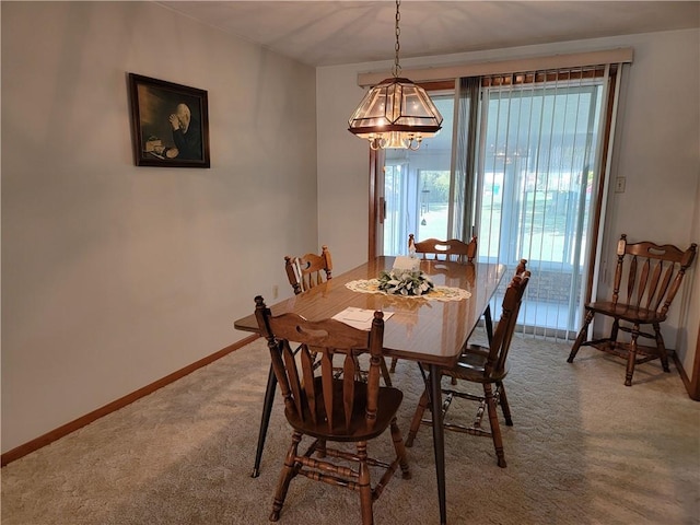 dining room with carpet