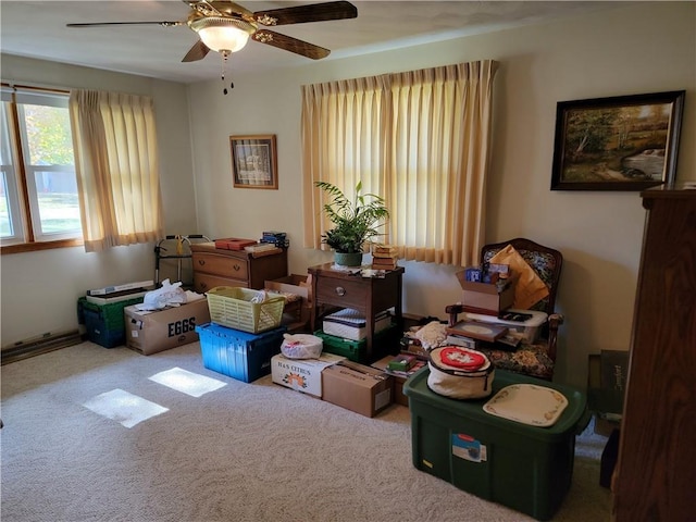 storage area with ceiling fan