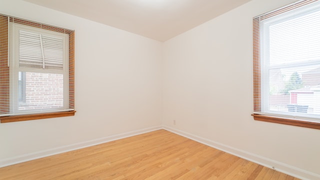 spare room with plenty of natural light and light hardwood / wood-style flooring