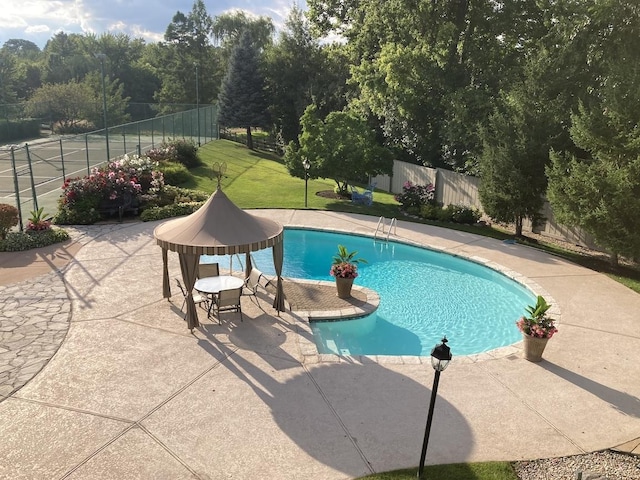 view of pool with a patio area and a lawn