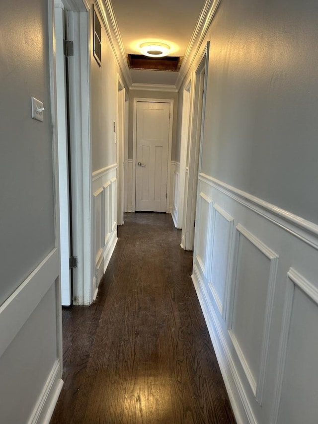 hallway featuring ornamental molding and dark hardwood / wood-style floors