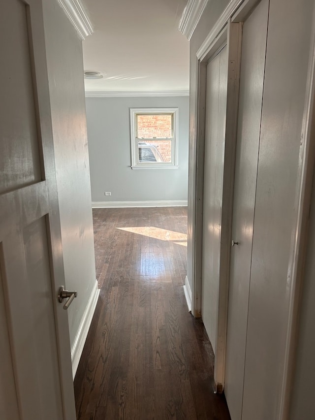 hallway featuring dark wood-type flooring and ornamental molding