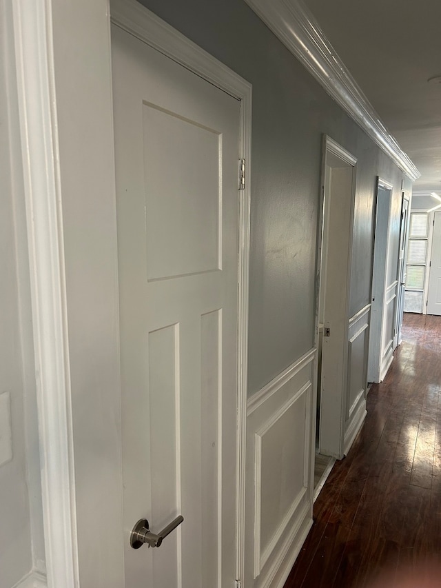 corridor featuring ornamental molding and dark hardwood / wood-style floors