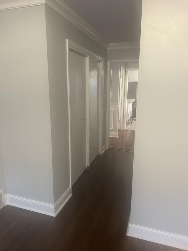 hall featuring dark wood-type flooring and crown molding