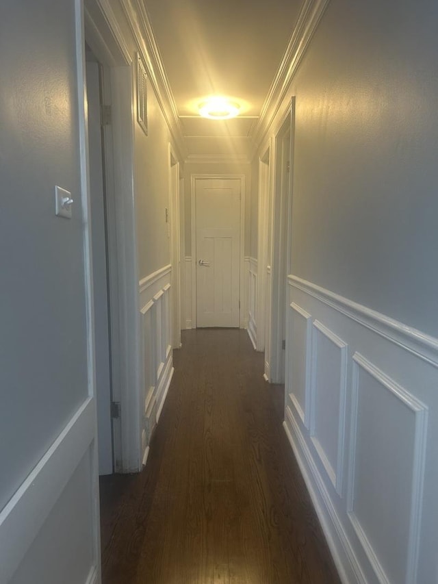 hall featuring dark wood-type flooring and crown molding