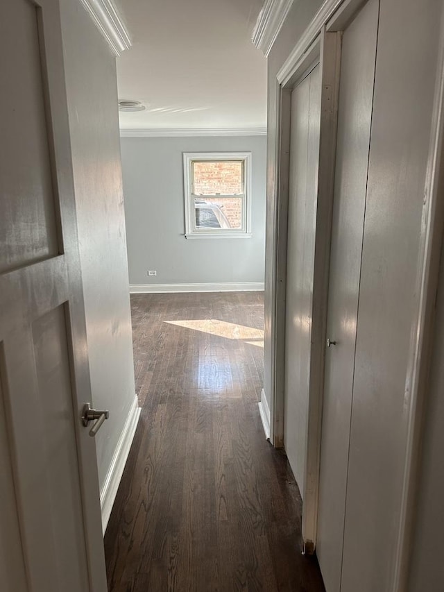 hall with crown molding and dark hardwood / wood-style flooring