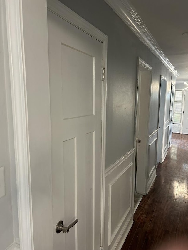 corridor featuring dark wood-type flooring and ornamental molding