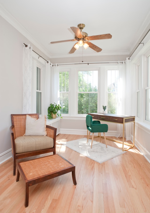 interior space featuring light hardwood / wood-style flooring, ceiling fan, and crown molding