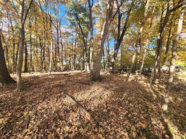 Listing photo 2 for LOT1783/84 Blueberry Dr, Varna IL 61375