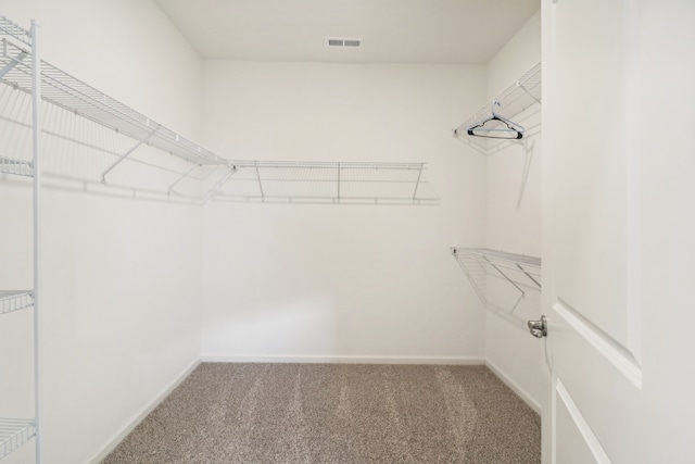 spacious closet featuring carpet floors