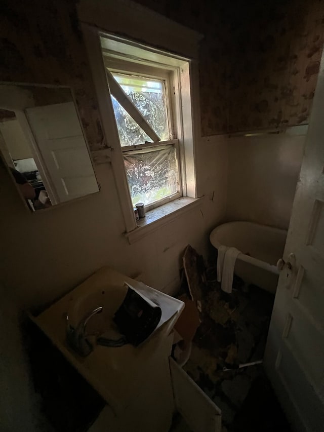 bathroom featuring a washtub