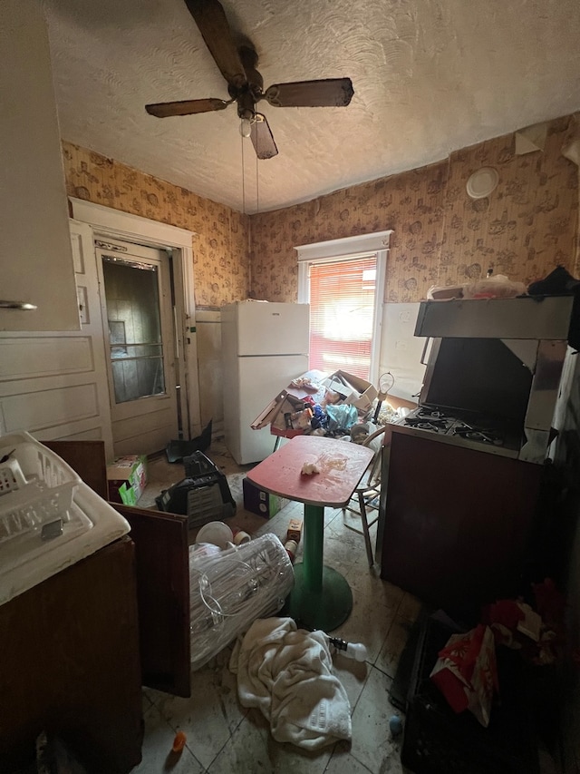 miscellaneous room featuring ceiling fan