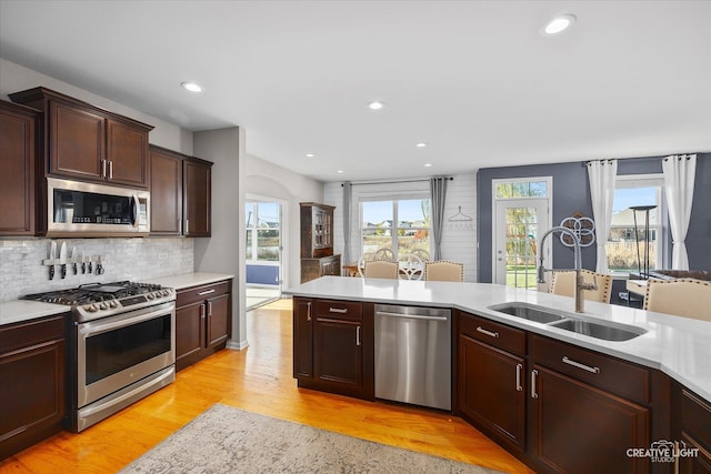 kitchen featuring light hardwood / wood-style flooring, stainless steel appliances, sink, dark brown cabinetry, and tasteful backsplash