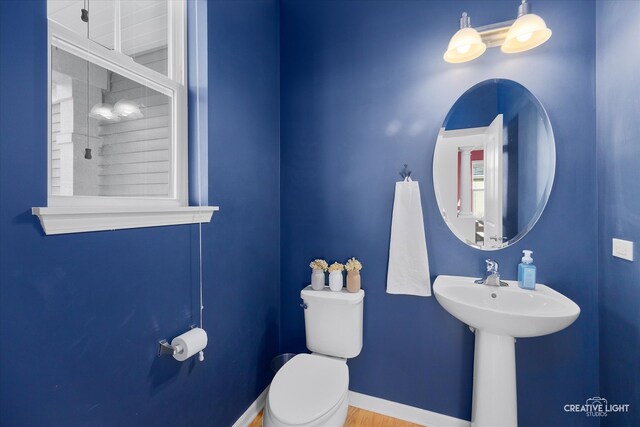 bathroom featuring toilet and hardwood / wood-style floors