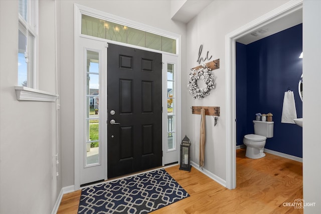 foyer entrance with hardwood / wood-style flooring and a wealth of natural light