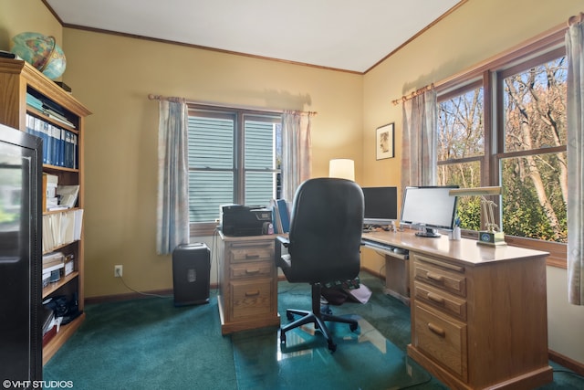 carpeted home office with ornamental molding