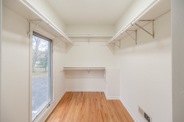 walk in closet featuring wood-type flooring