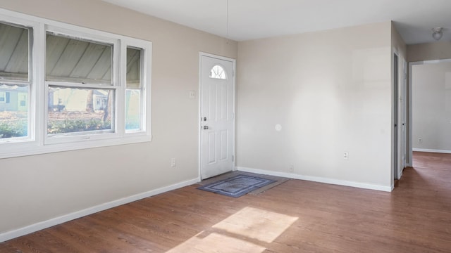 foyer featuring a healthy amount of sunlight and dark wood-type flooring