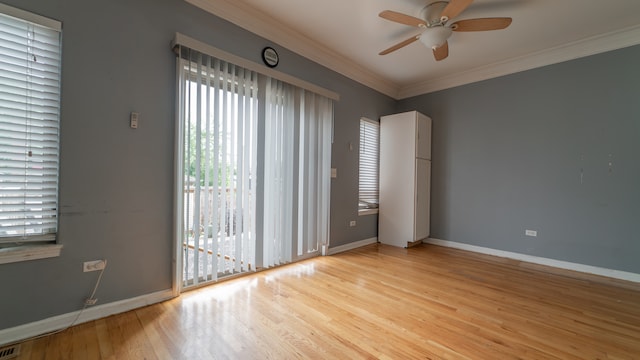 unfurnished room with crown molding, light hardwood / wood-style floors, and ceiling fan