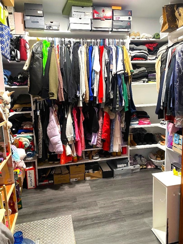 walk in closet featuring hardwood / wood-style flooring