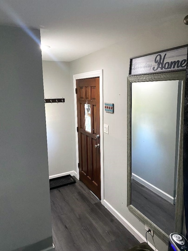 entrance foyer featuring dark hardwood / wood-style floors