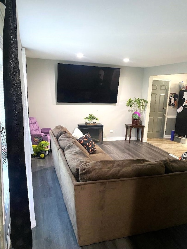 living room featuring hardwood / wood-style flooring