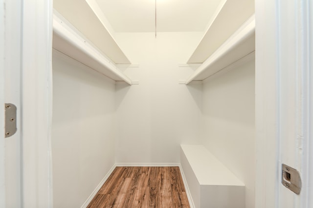 spacious closet with wood-type flooring