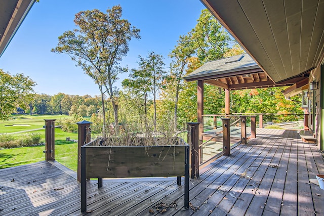 deck featuring a yard