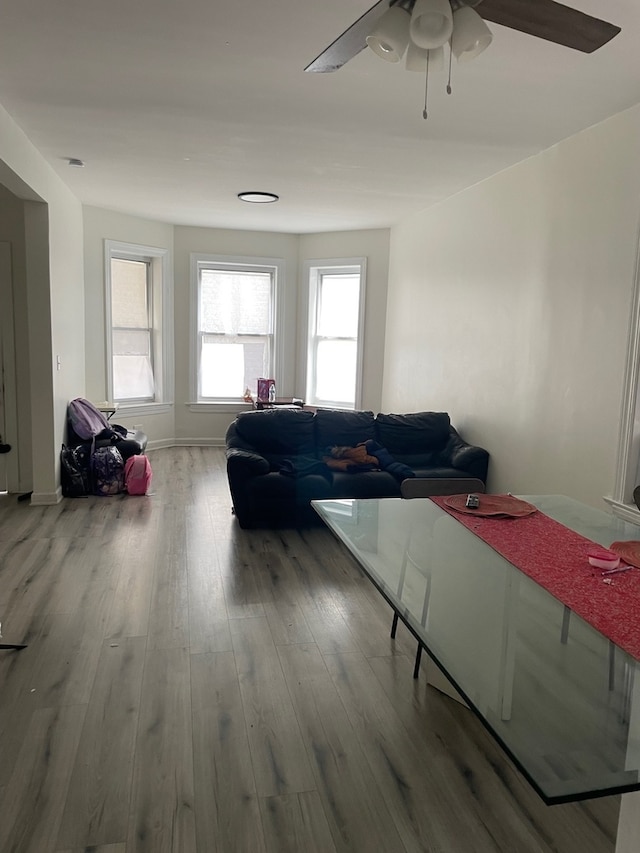 living room with hardwood / wood-style floors and ceiling fan