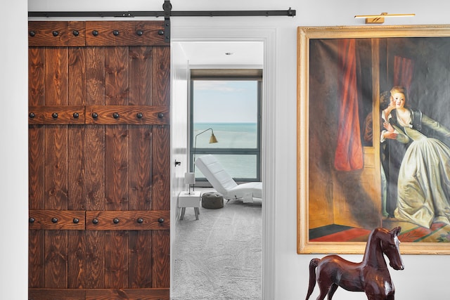 interior space with carpet and a barn door