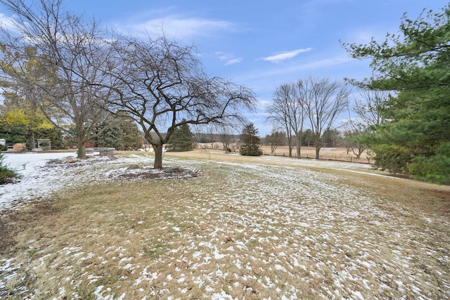 view of snowy yard