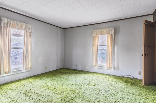 carpeted spare room featuring ornamental molding