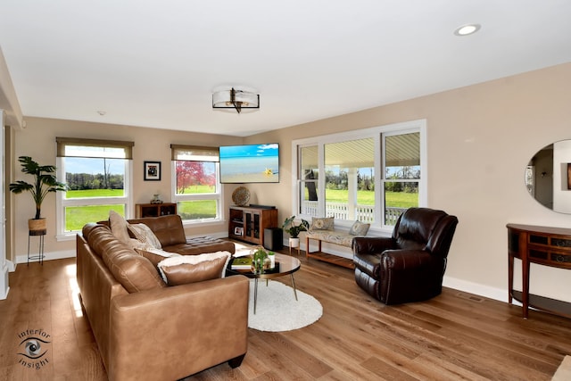 living room featuring hardwood / wood-style flooring and a healthy amount of sunlight