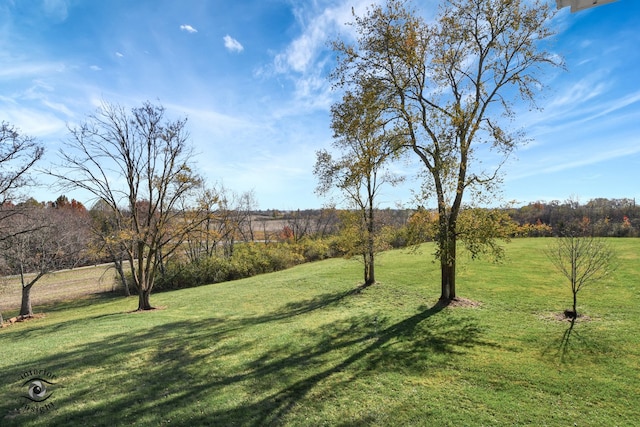 view of yard with a rural view