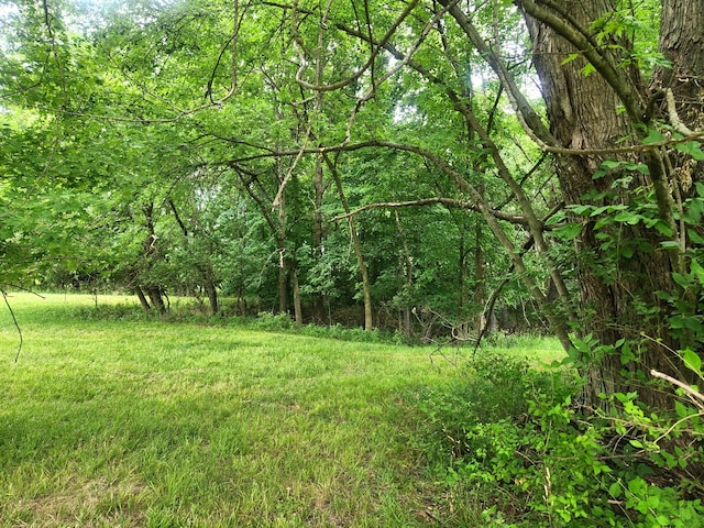 Listing photo 2 for LOT53 Lake Wildwood Dr, Varna IL 61375