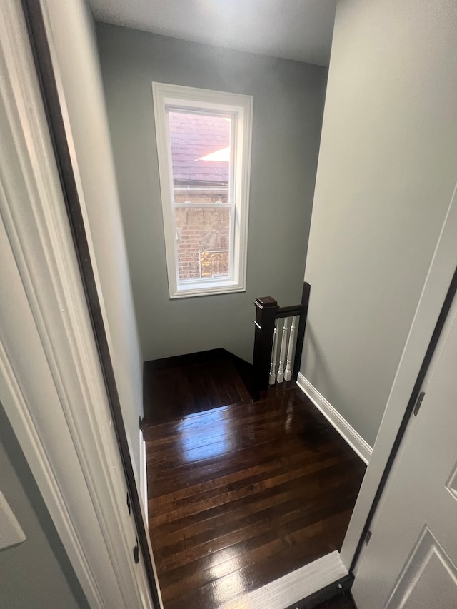 stairway featuring hardwood / wood-style flooring